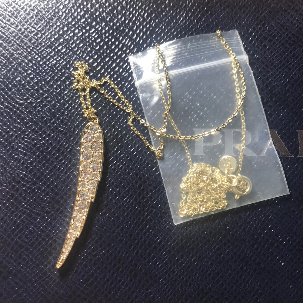 Victoria's Secret Wing Necklace Sometimes Naughty